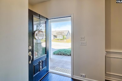 320 Hollow Cove Rd, Chapin, SC 29036 - photo 6