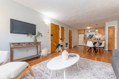 104 Trowbridge St unit 3, Cambridge, MA 02138 - photo 6
