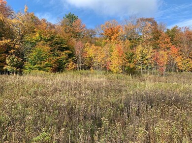 0 Narrow Notch Rd Rd unit OD132890, Yorktown Heights, NY 10598 - photo 3