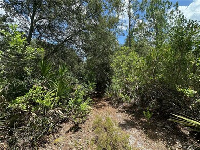 796 Fisher Rd, Ocklawaha, FL 32179 - photo 4