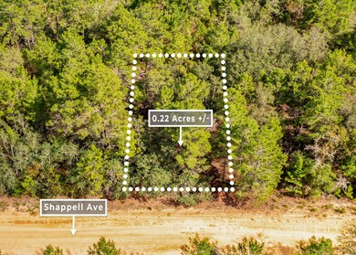 0 Shappell Ave unit 25253026, Interlachen, FL 32148 - photo 2