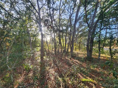 2176 W Conway Dr, Citrus Springs, FL 34434 - photo 7