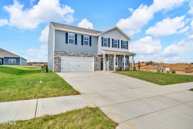 339 Cookie Loop, Johnson City, TN 37615 - photo 7