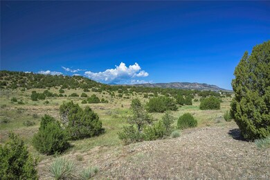 13700 Corundum Rd, Trinidad, CO 81082 - photo 4