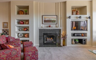 Gas Fireplace/Media Inserts