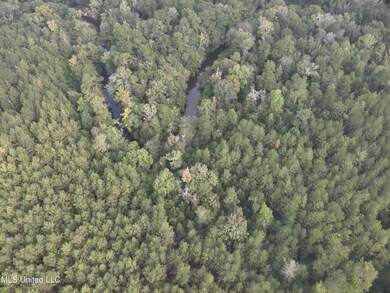 0 Columbia Purvis Rd unit 4131554, Columbia, MS 39429 - photo 7