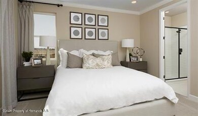 9226 Players Dr, Weeki Wachee, FL 34613 - photo 4