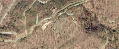 GIS Aerial of lot C-9