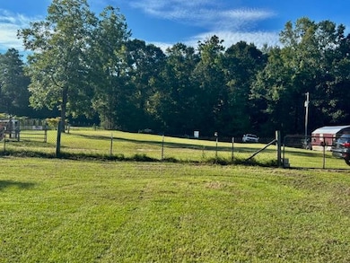 36015 Good Hope Rd, Dozier, AL 36028 - photo 6