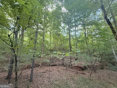 195 Bunch Rd, Tignall, GA 30668 - photo 6