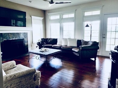 Living room features new fireplace insert with tum