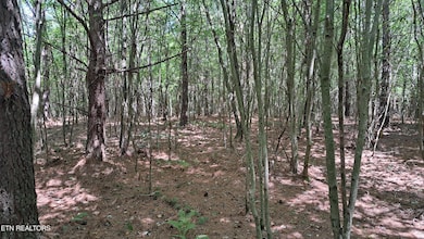 Lot 20 Airport Rd (Pca), Rockwood, TN 37854 - photo 3