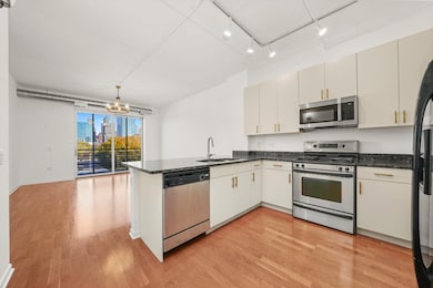 unlisted-address, Chicago, IL 60610 - photo 6