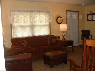 Large sunny Living Room
