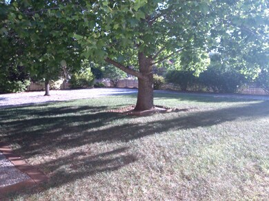 mature landscaping