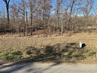 10010 Celia Berryhill Rd, Okmulgee, OK 74447 - photo 5