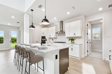 6259 Jensen View Ave, Apollo Beach, FL 33572 - photo 6