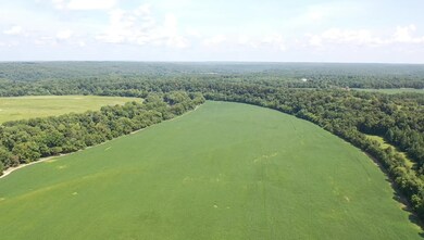 0 Slink Shoals Rd unit 2102638, Linden, TN 37096 - photo 3