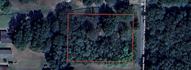 1101 N New Orleans Ave, Brinkley, AR 72021 - photo 7