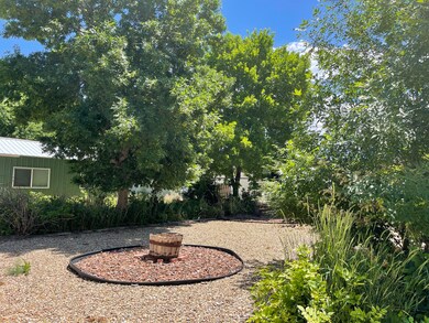 Mature trees and shrubs
