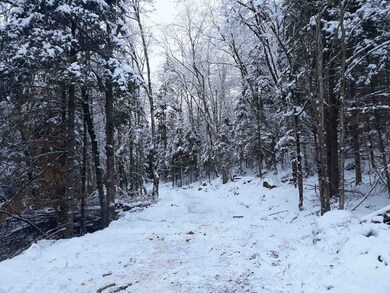 1304 Vermont Route 100 unit Lot 4 - riverfront, Readsboro, VT 05350 - photo 5