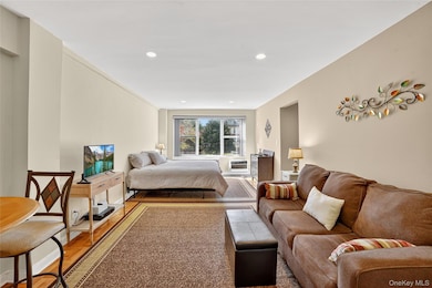 10 Old Mamaroneck Rd unit 4K, White Plains, NY 10605 - photo 6