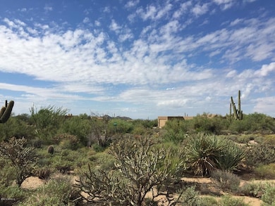 Venus Drive - Lot #21