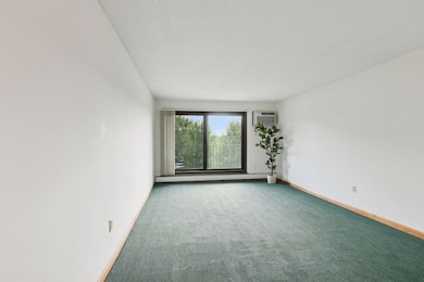 3399 Kent St unit 211, Saint Paul, MN 55126 - photo 3