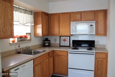 429 Gandy Dancer Ct, Hagerstown, MD 21740 - photo 3