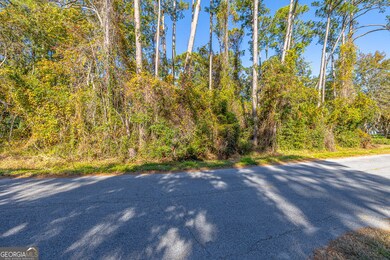 133 Helmich Dr, Brunswick, GA 31525 - photo 6