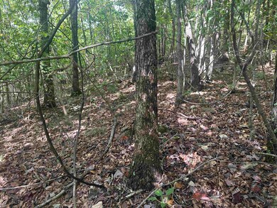 000 Hwy 65 N, Clinton, AR 72031 - photo 6