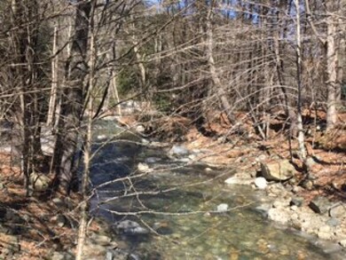 0 Upper Podunk Rd unit 4474759, Wardsboro, VT 05360 - photo 3
