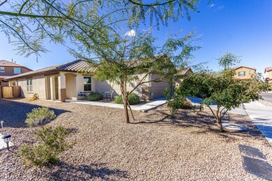 Front Yard 1