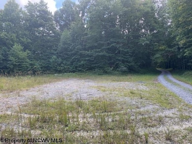 TBD Simpson Rd, Belington, WV 26250 - photo 5