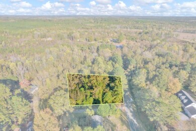 00 Walker Rd, Linden, NC 28356 - photo 4