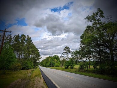 View to North along HWY 159