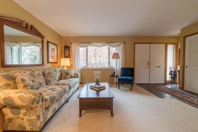 Large Living Room