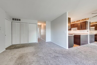 310 Newport Ln unit C2, Bartlett, IL 60103 - photo 6