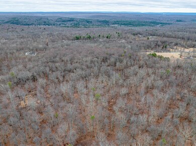 DJI_20250317143111_0468_D
