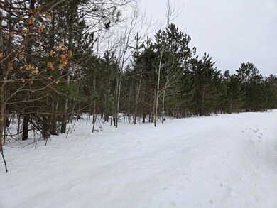 0 Laming Cir unit 201832921, Elmira, MI 49730 - photo 5