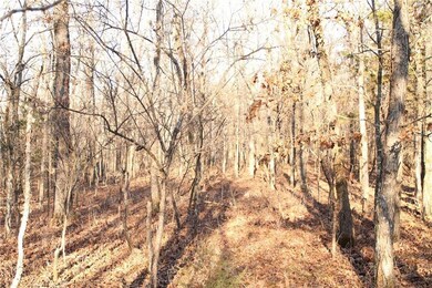 0 Madison 5540 unit 1088702, Elkins, AR 72727 - photo 5