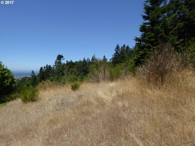 94402 Bear Mountain Rd unit 102, Gold Beach, OR 97444 - photo 4