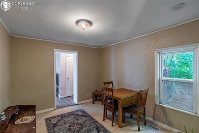 1203 W 3rd St, Florence, CO 81226 - photo 4