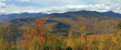 Fall