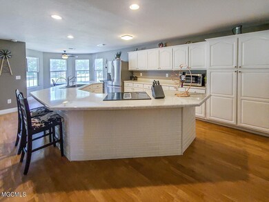 299 Grain Elevator Rd, Lucedale, MS 39452 - photo 6