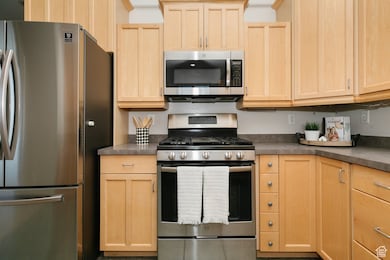 Kitchen featuring appliances with stainless steel finishes, light brown cabinets, and dark countertops