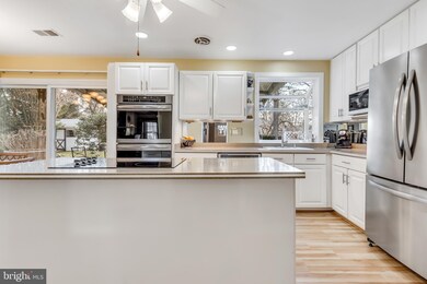 14804 Mistletoe Ct, Silver Spring, MD 20905 - photo 6