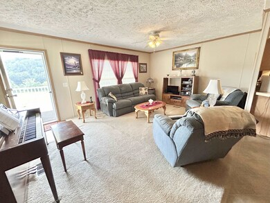 27 Rd, West Hamlin, WV 25571 - photo 5