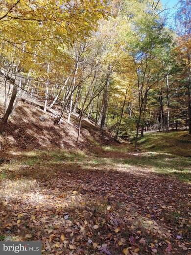 453 Walters Ln, Mathias, WV 26812 - photo 5