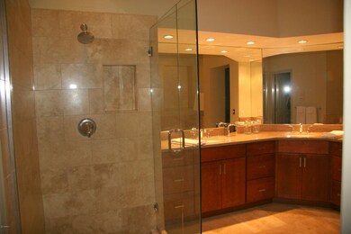 Master Shower & Bath
